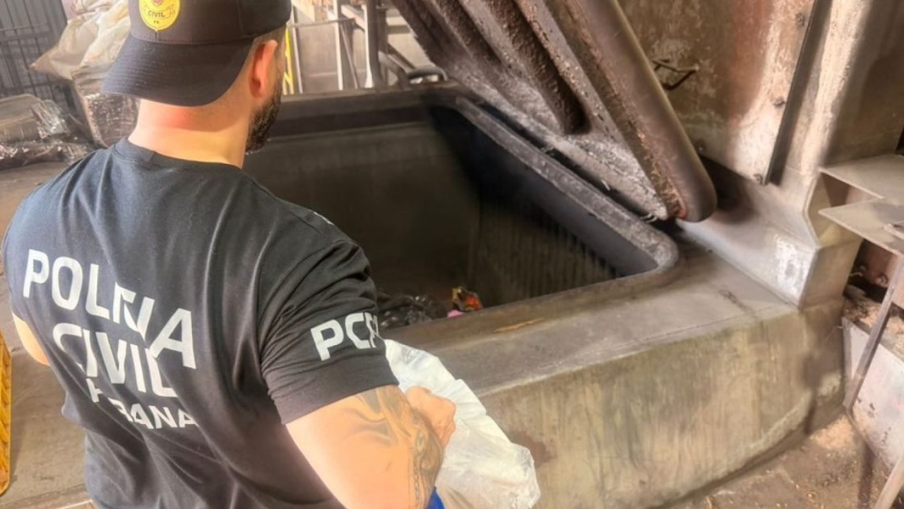 maconha-representa-quase-99-das-177-toneladas-incineradas-pela-policia-civil-6a905a5052a96