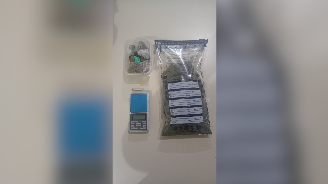maconha006644990202608031141.png