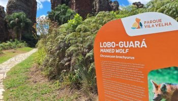 Foto: Governo do Paraná