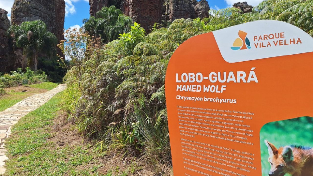 Foto: Governo do Paraná