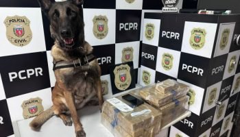 Polícia Civil prende homem e apreende drogas em rodoviária de Maringá — Foto: Go