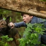 Foto: 1 de 1 Cena do filme Max: O Cão Herói - Metrópoles - Foto: Divulgação