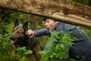 Foto: 1 de 1 Cena do filme Max: O Cão Herói - Metrópoles - Foto: Divulgação