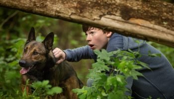 Foto: 1 de 1 Cena do filme Max: O Cão Herói - Metrópoles - Foto: Divulgação