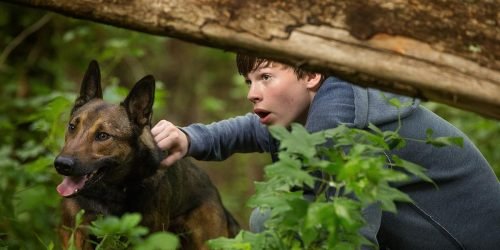 Foto: 1 de 1 Cena do filme Max: O Cão Herói - Metrópoles - Foto: Divulgação