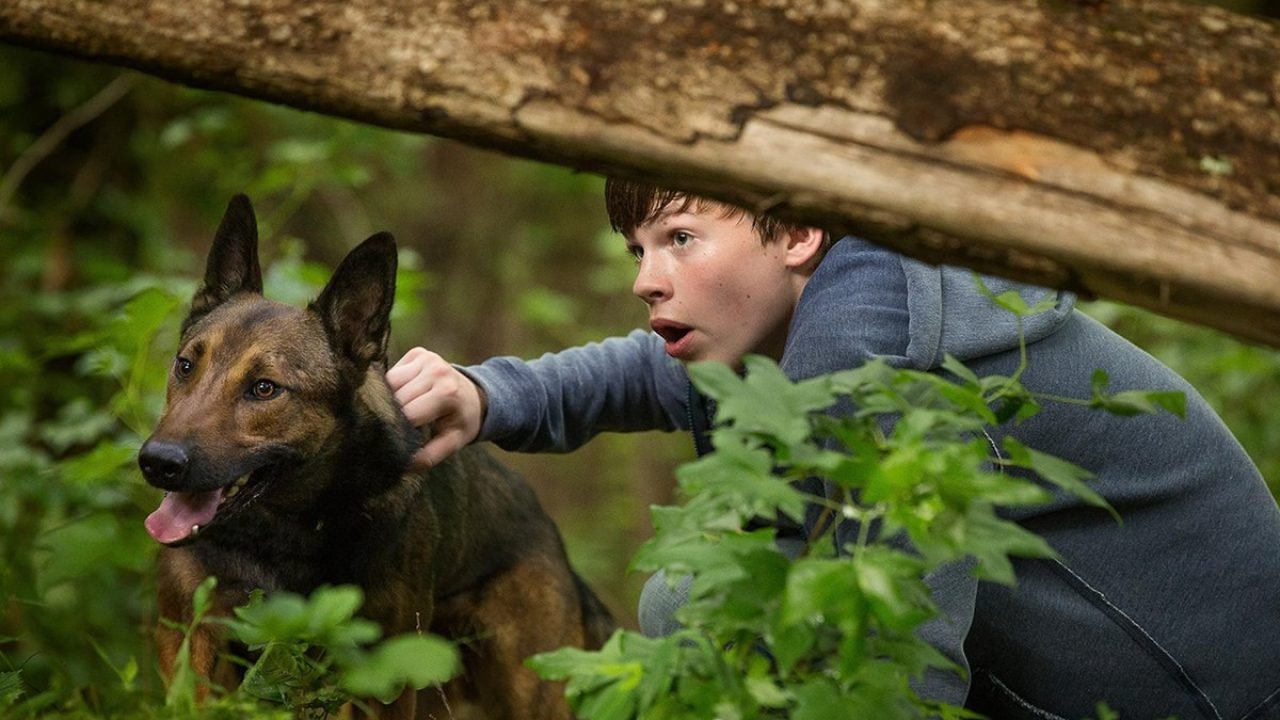 Foto: 1 de 1 Cena do filme Max: O Cão Herói - Metrópoles - Foto: Divulgação