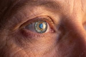 microchip olhos