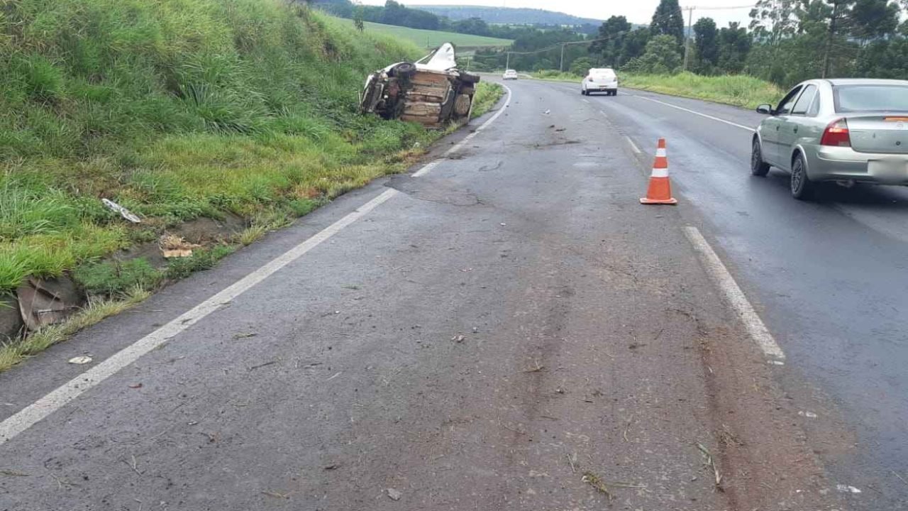 morre-atropelada-br-376