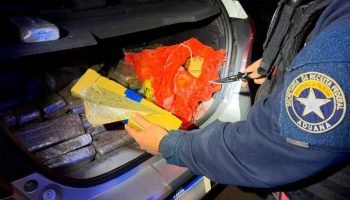 motorista-de-65-anos-e-preso-com-110-kg-de-maconha-e-diz-que-receberia-r-2-mil-6a9ac4cc412ff