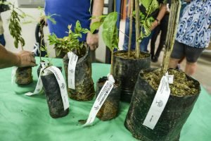 Foto: Foto: Levy Ferreira/SECOM