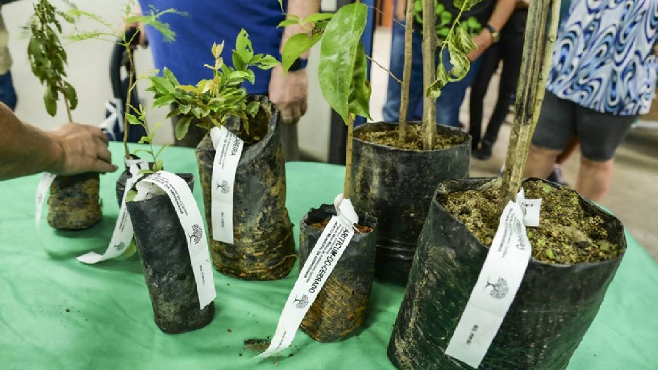 Foto: Foto: Levy Ferreira/SECOM