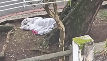 Uma mulher foi encontrada no Passeio Público e aceitou o tratamento da FAS (Foto