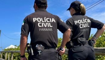 Polícia Civil prende homem por furto qualificado em Antonina — Foto: Governo do