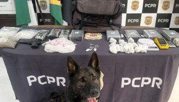 Polícia Civil prende mandante de duplo homicídio e apreende drogas em Matinhos —