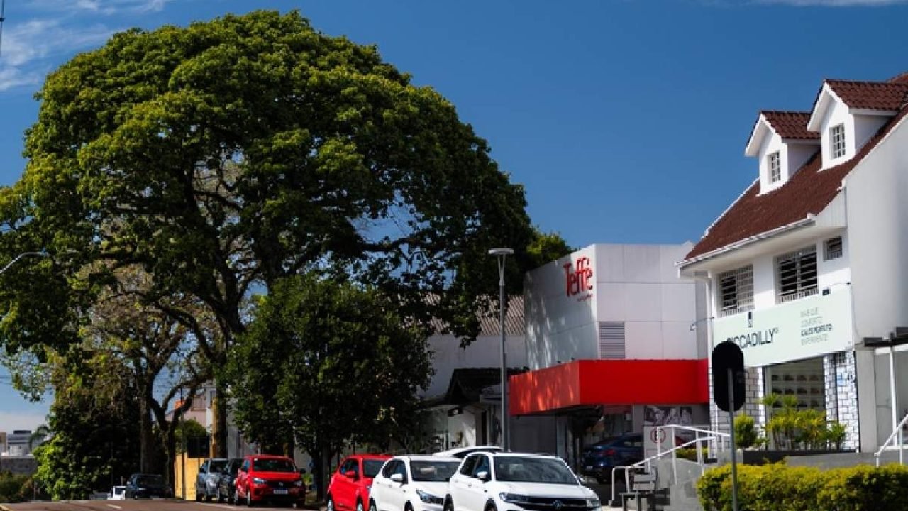 Foto: A novidade foi oficializada com a criação do Polo Teffé (Foto: Rodrigo Fon