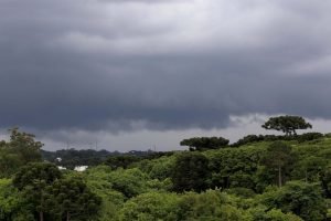 Foto: Governo do Paraná