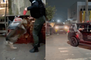 operacao-cargas-furtadas-paranagua-trafico-960x592-1