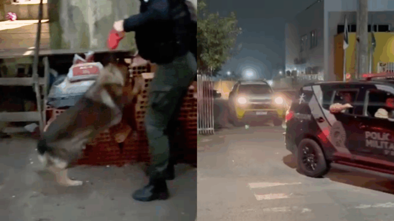 operacao-cargas-furtadas-paranagua-trafico-960x592-1