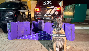 operacao-policial006447220202606081421.png
