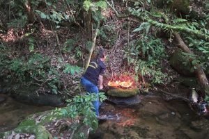 Foto: Governo do Paraná