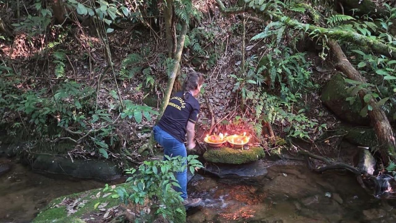 Foto: Governo do Paraná