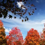 Foto: Foto: José Fernando Ogura/AEN