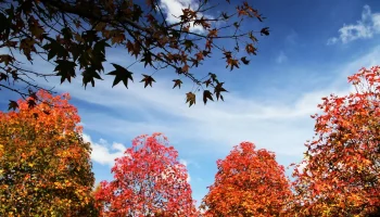 Foto: Foto: José Fernando Ogura/AEN