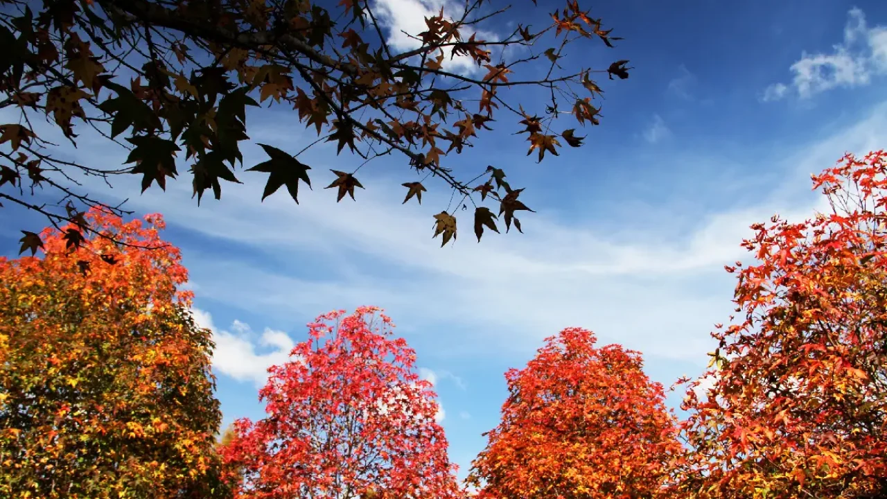 Foto: Foto: José Fernando Ogura/AEN