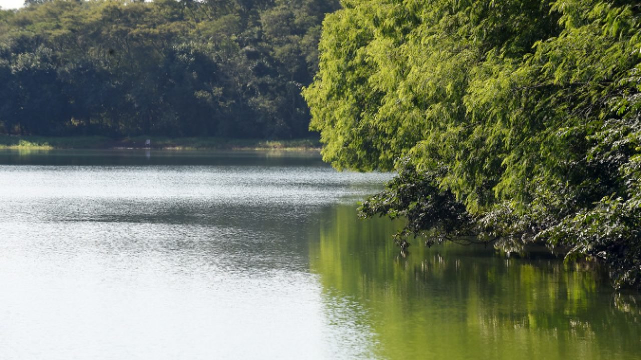 Foto: Governo do Paraná