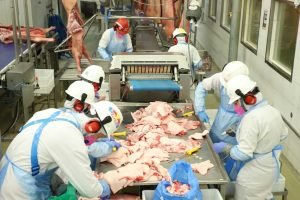 parana-producao-carne-frango-leite-ibge