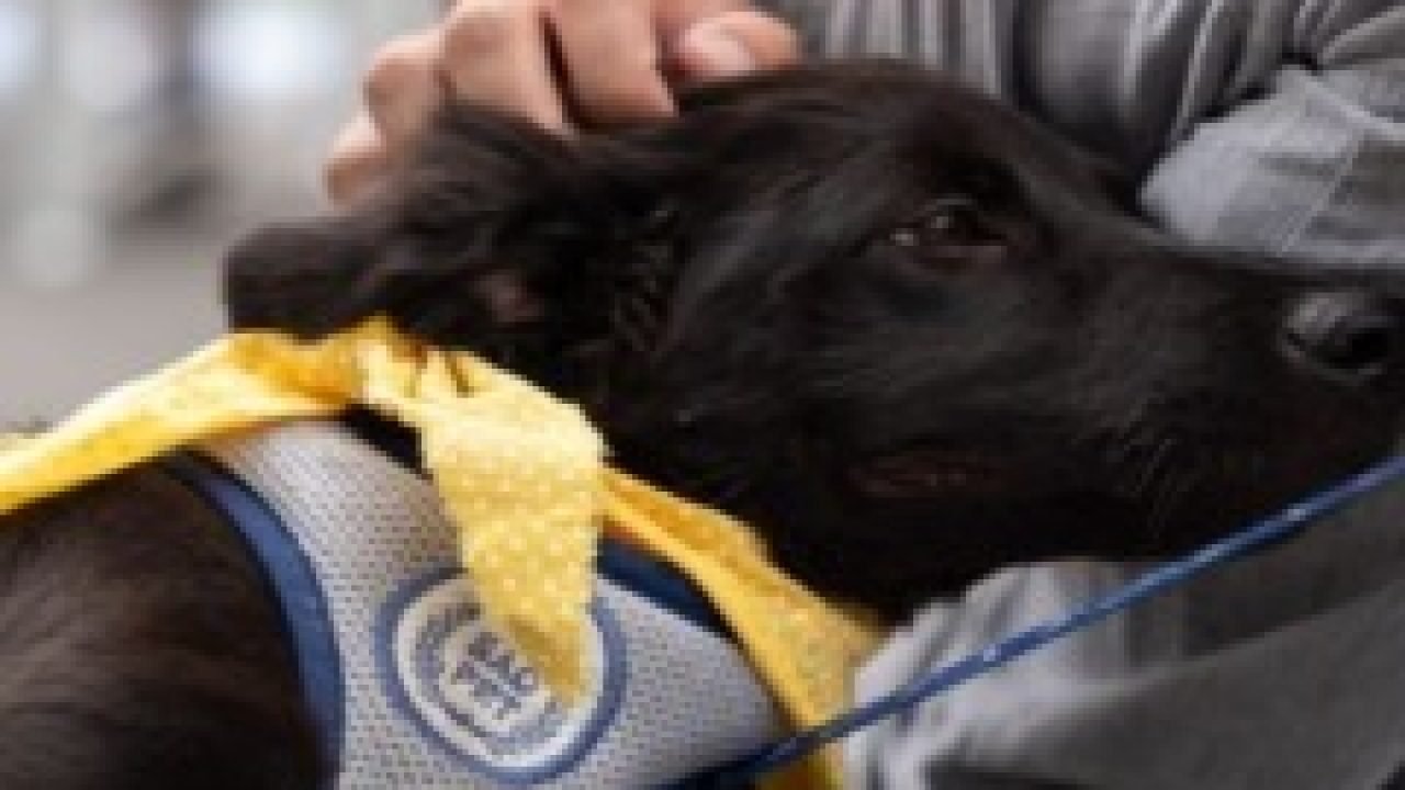 Foto: A proposta teve grande repercussão dentro e fora do plenário (Foto: Jean L