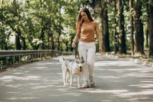 Cachorro em passeio — Foto: Reprodução/Freepik