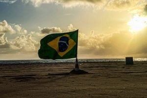 pexels-alexandre-saraiva-carniato-583650-19296125-1024x845-1