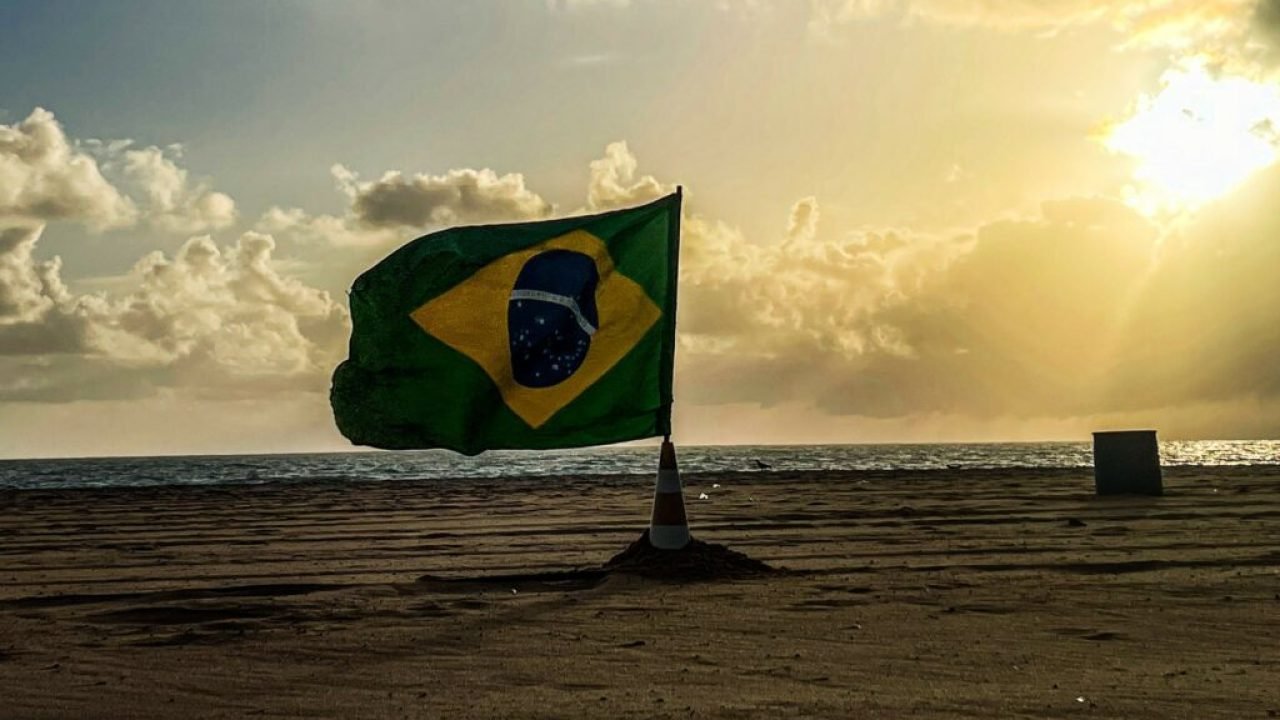 pexels-alexandre-saraiva-carniato-583650-19296125-1024x845-1