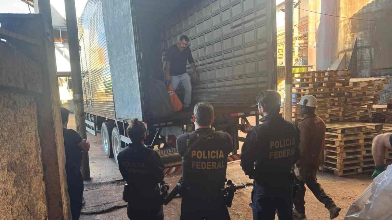 pf-destroi-drogas-fronteira-