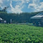 Foto: Governo do Paraná