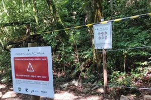 Foto: https://massa.com.br/servicos-informacoes-uteis/onibus-curitiba-integracao