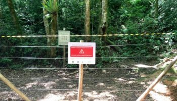 Parque Estadual Pico Paraná — Foto: Governo do Paraná