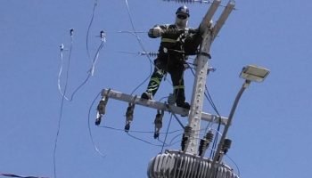 Foto: Governo do Paraná