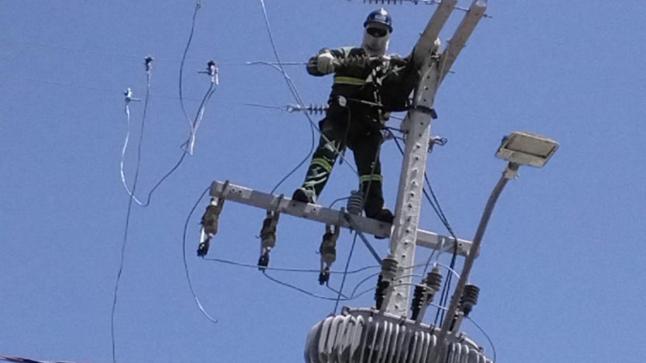 Foto: Governo do Paraná