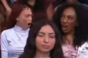 Foto: 1 de 1 plateia-ratinho - Foto: null