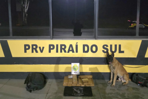 pm-apreende-drogas006485080202606281017.png
