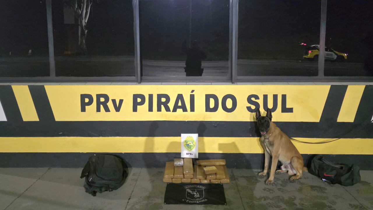 pm-apreende-drogas006485080202606281017.png