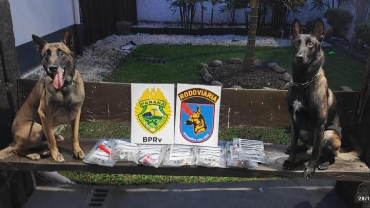 Ação integrada de fiscalização na Operação Verão — Foto: Governo do Paraná