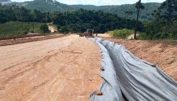 Foto: Governo do Paraná