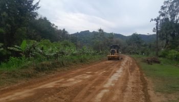 Foto: Governo do Paraná