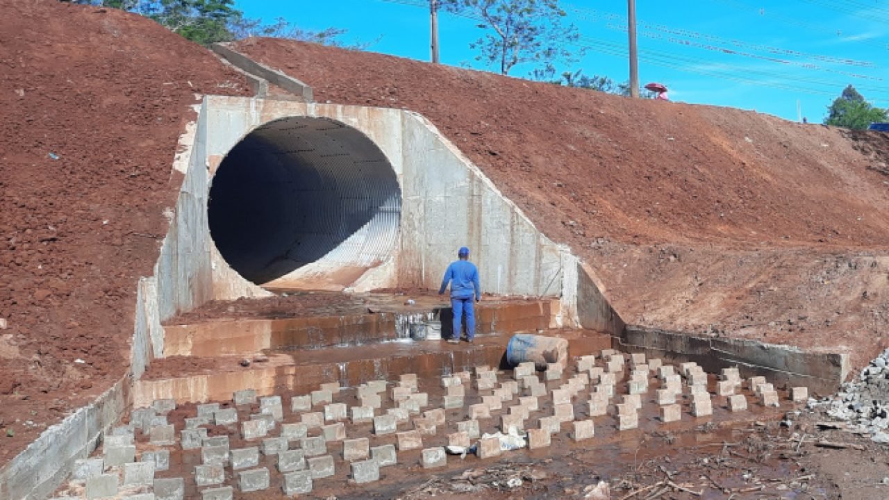 Foto: Governo do Paraná