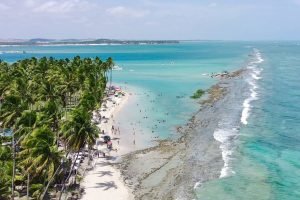 Praia dos Carneiros, em Tamandaré — Foto: Praia dos Carneiros, em Tamandaré Repr