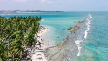 Praia dos Carneiros, em Tamandaré — Foto: Praia dos Carneiros, em Tamandaré Repr