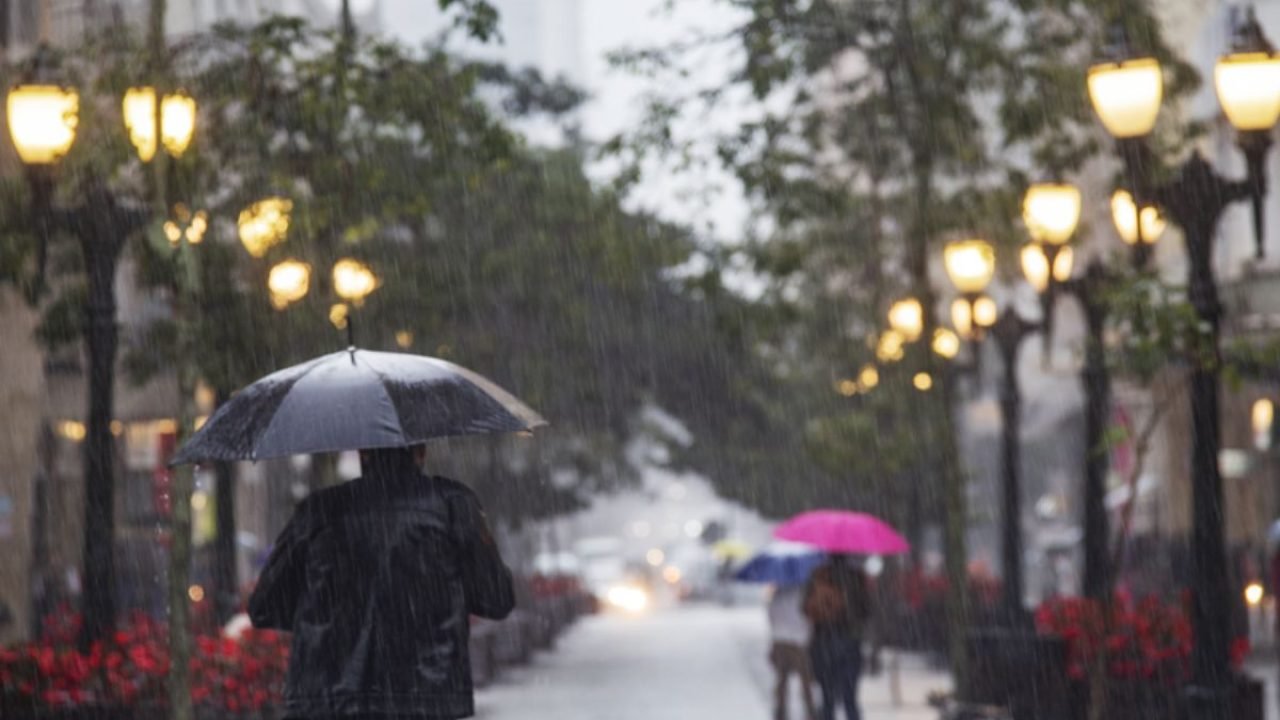 Foto: Foto: Ricardo Marajó/SECOM